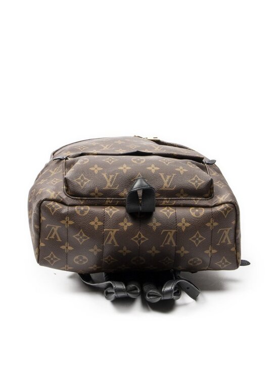 Louis Vuitton Palm Springs Brown Monogram Canvas Backpack main image 6